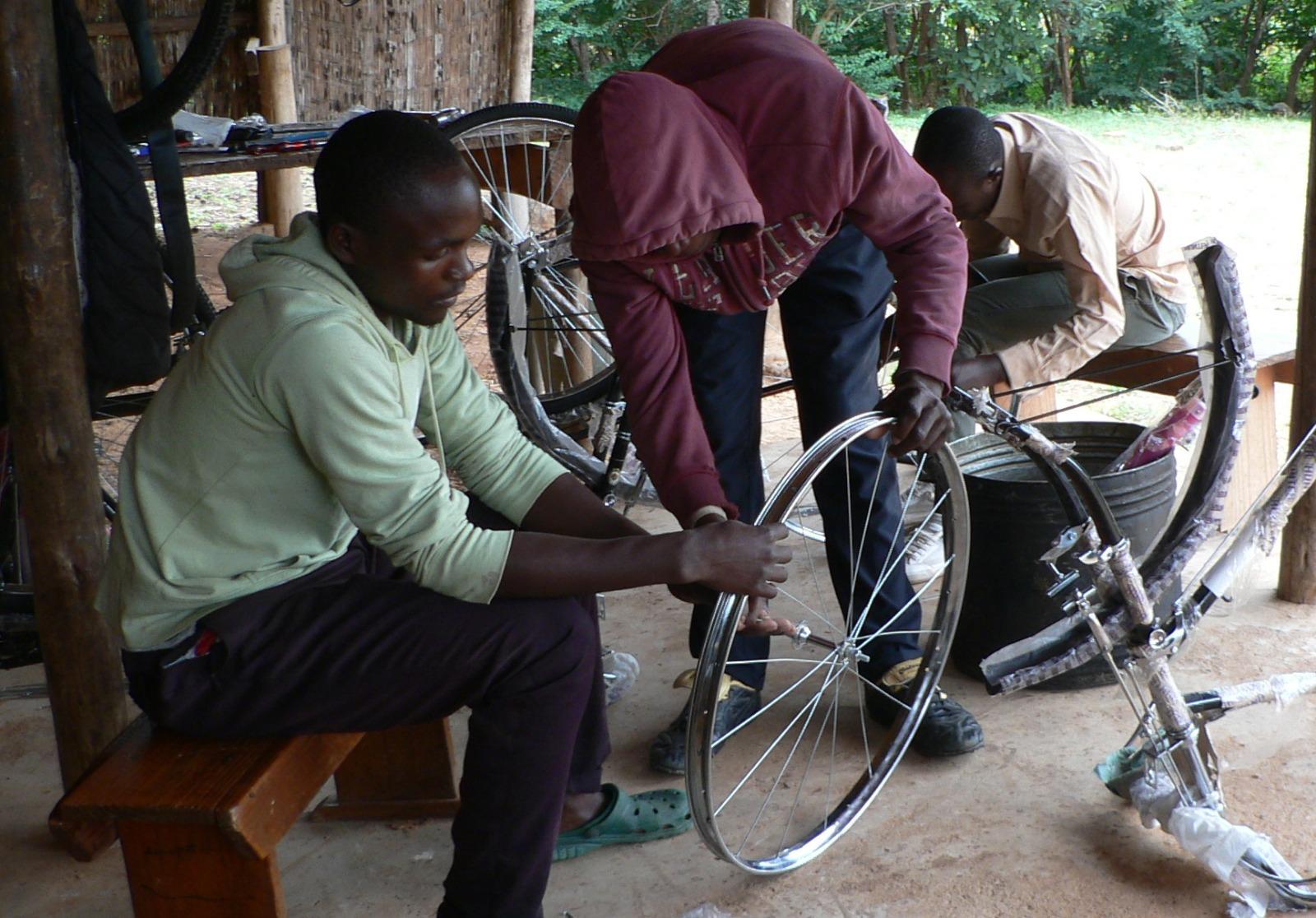 Mechanics in Training