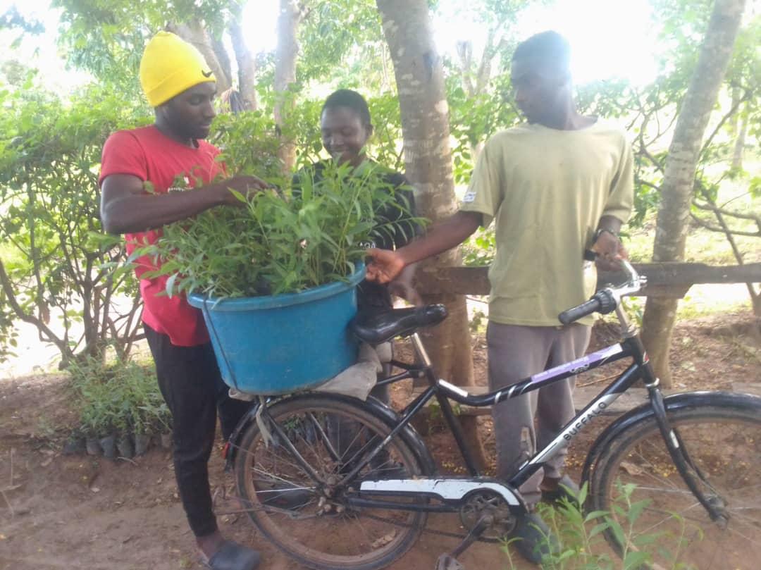 IMG 20260330 WA0112 (2)